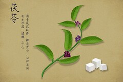 制定篮球交流计划以促进个人技能发展的方法_1